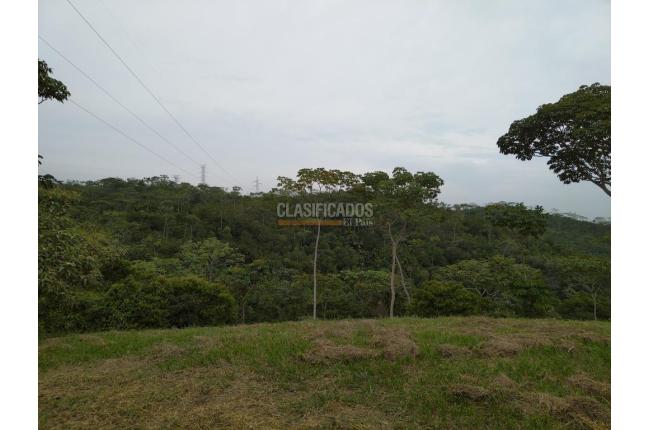 Lotes, Venta en Pance