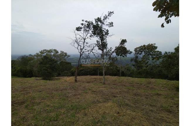 Lotes, Venta en Pance