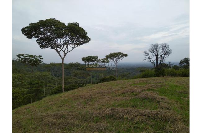 Lotes, Venta, Pance - $1.300.000.000