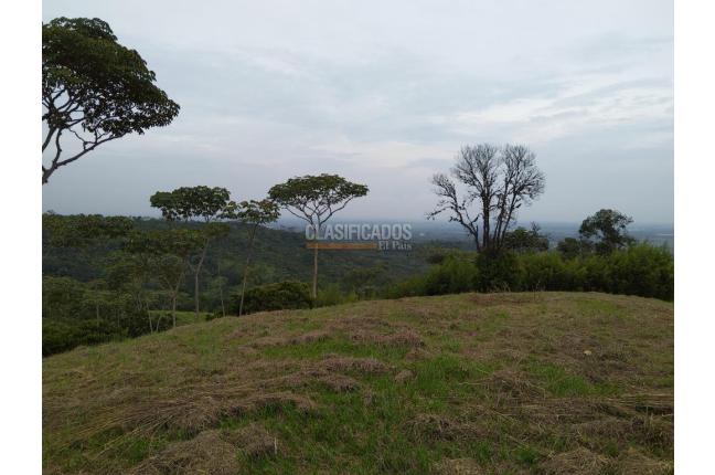 Lotes, Venta, Pance - $1.300.000.000