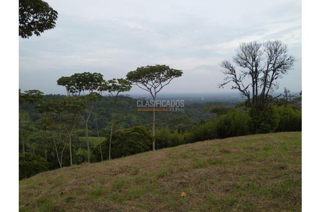 Lotes, Venta, Pance - $1.300.000.000