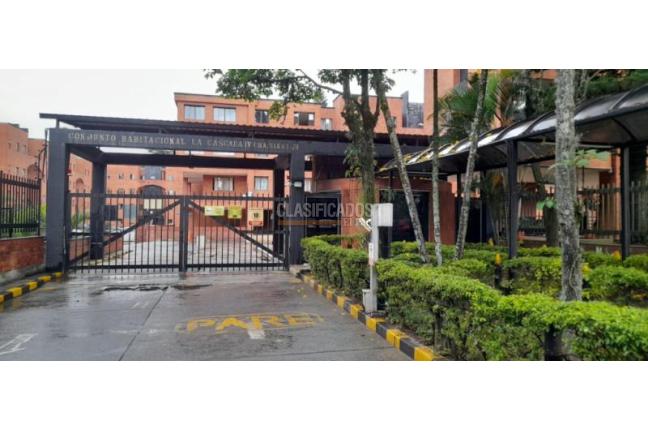 Apartamentos, Alquiler en Seminario