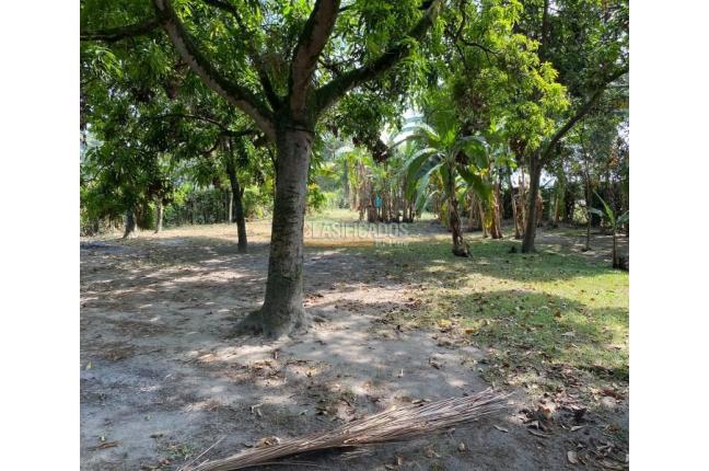 Fincas y Casas Campestres, Venta, Candelaria - $700.000.000