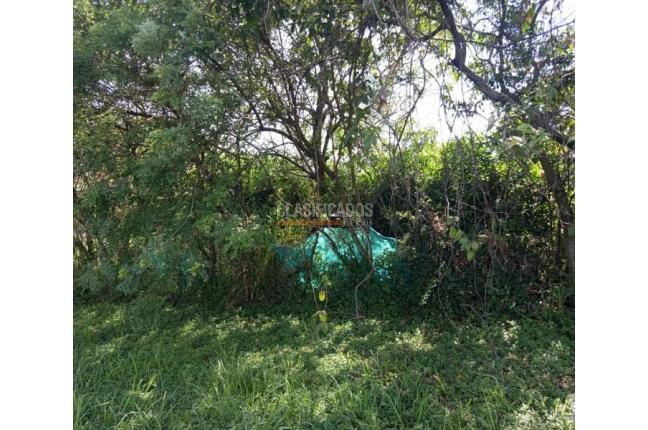 Fincas y Casas Campestres, Venta, Candelaria - $700.000.000