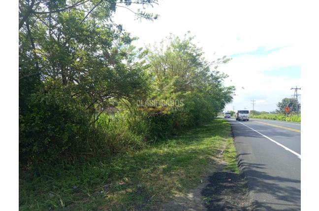 Fincas y Casas Campestres, Venta, Candelaria - $700.000.000