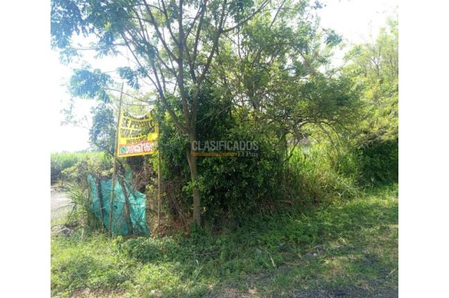 Fincas y Casas Campestres, Venta, Candelaria - $700.000.000