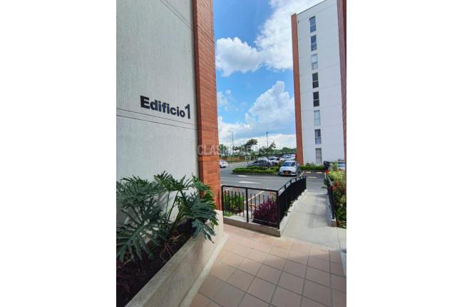 Apartamentos, Alquiler en Jamundí