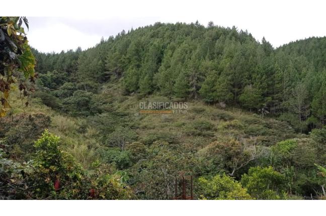 Fincas y Casas Campestres, Venta, Dagua - $520.000.000