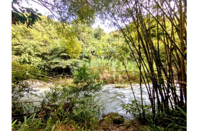 Lotes, Venta, La Buitrera - $340.000.000