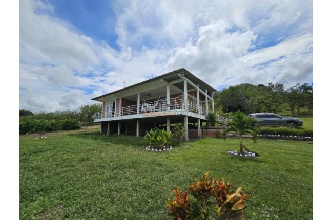 Fincas y Casas Campestres, Venta en Zarzal