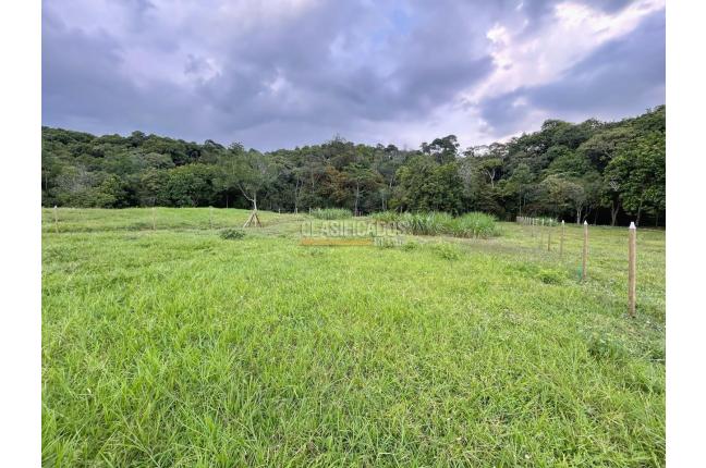 Lotes, Venta, Pance - $2.100.000.000