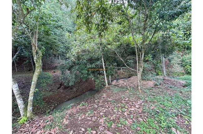 Lotes, Venta, Pance - $2.100.000.000