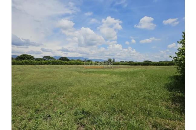 Lotes, Venta en Palmira