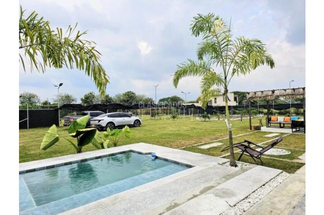 Lotes, Venta, Palmira - $520.000.000