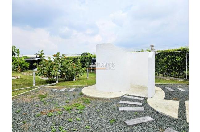 Lotes, Venta, Palmira - $520.000.000