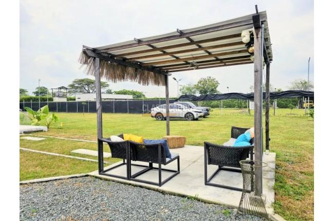 Lotes, Venta, Palmira - $520.000.000