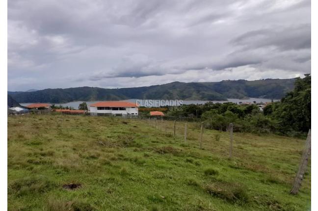 Lotes, Venta en Calima (Darién)