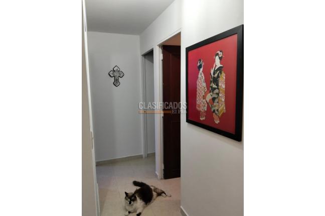 Apartamentos, Venta, Álamos - $240.000.000