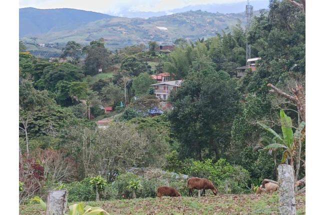 Lotes, Venta, La Cumbre - $485.000.000