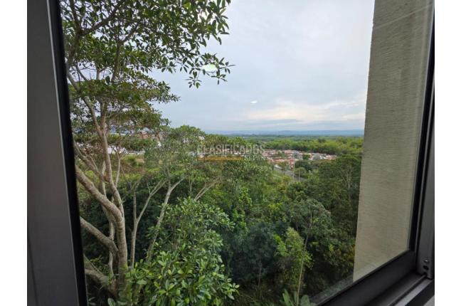 Apartamentos, Alquiler, Pereira - $3.000.000