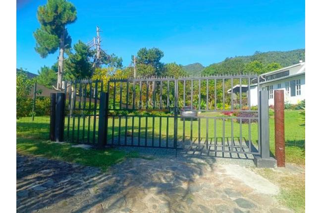 Casas, Alquiler en Dapa