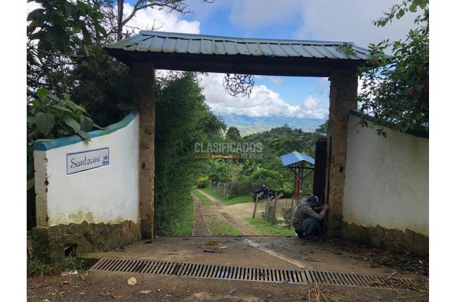 Fincas y Casas Campestres, Alquiler en Dagua