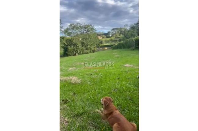 Lotes, Venta en Viterbo