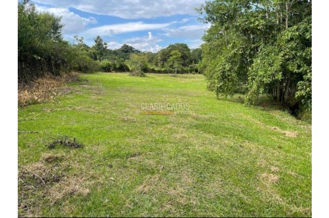 Lotes, Venta en Viterbo