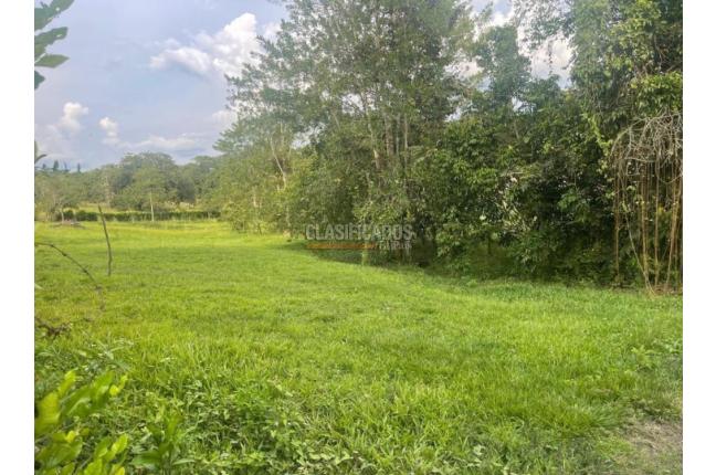 Lotes, Venta en Viterbo