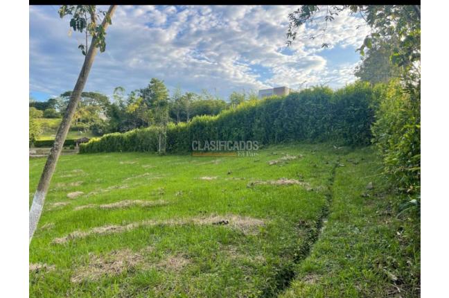 Lotes, Venta, Viterbo - $280.000.000