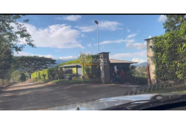 Lotes, Venta, Viterbo - $280.000.000