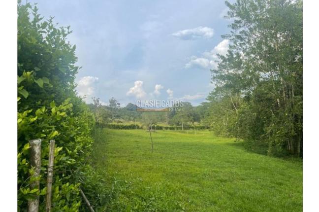 Lotes, Venta, Viterbo - $280.000.000