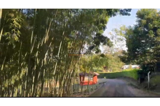Lotes, Venta, Viterbo - $280.000.000