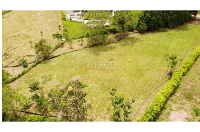 Lotes, Venta, Viterbo - $280.000.000