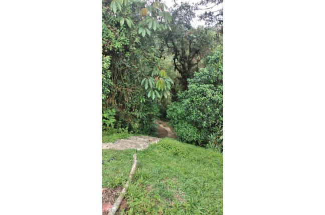 Casas, Alquiler, La Elvira