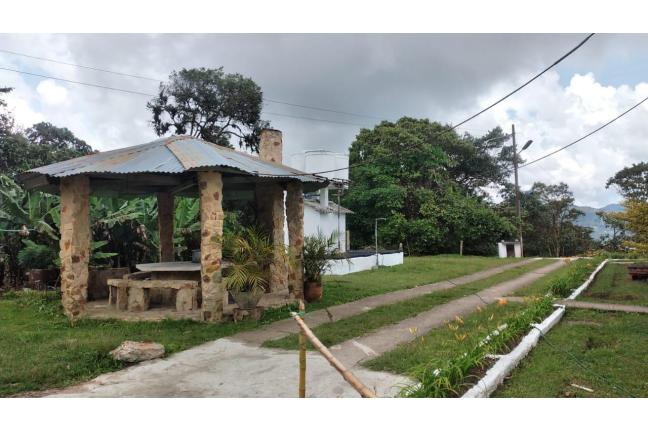 Casas, Alquiler, La Elvira