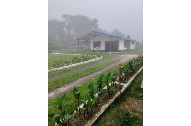 Casas, Alquiler, La Elvira