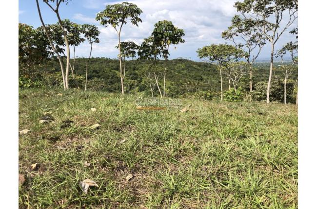 Lotes, Venta en Pance