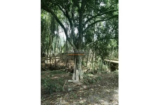 Lotes, Venta, Jamundí - $160.000.000