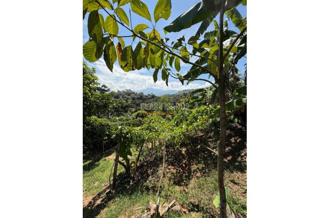 Casas, Venta, Floridablanca - $650.000.000