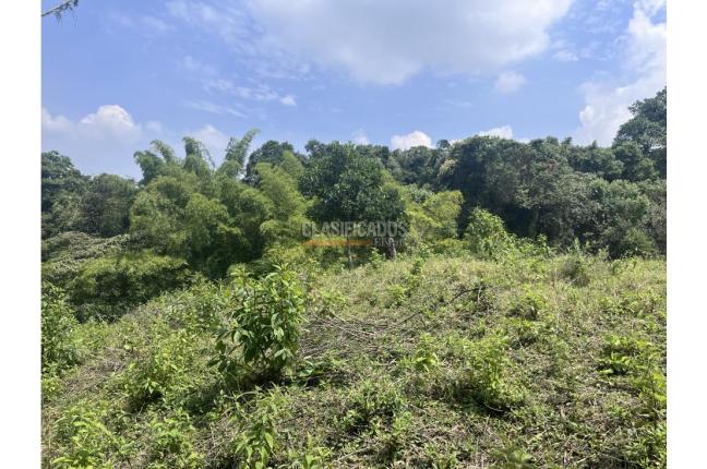 Lotes, Venta en Dapa