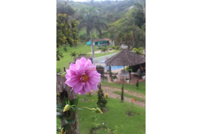 Fincas y Casas Campestres, Venta, Dagua - $1.500.000.000