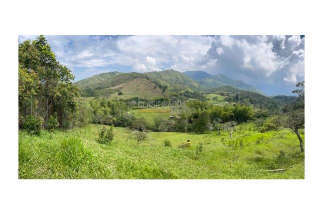 Lotes, Venta en Pance