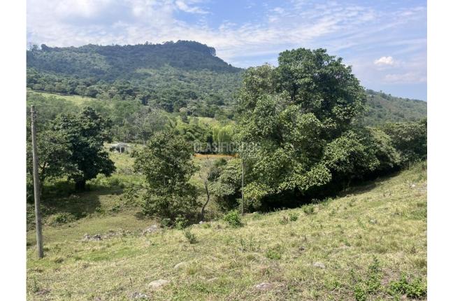 Lotes, Venta en Dapa