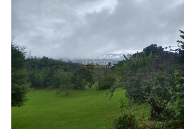 Fincas y Casas Campestres, Alquiler en Dagua