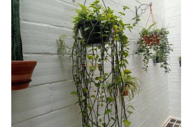 Casas, Venta, Jamundí - $240.000.000