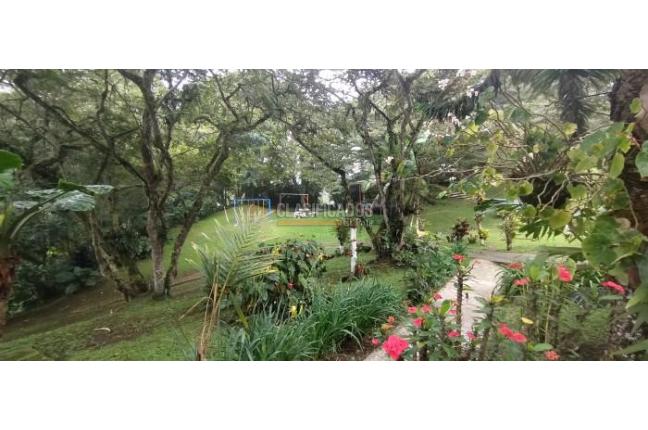 Fincas y Casas Campestres, Venta, La Elvira - $1.100.000.000