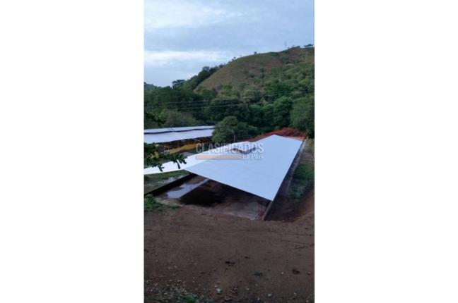 Fincas y Casas Campestres, Venta, Guacarí - $1.200.000.000