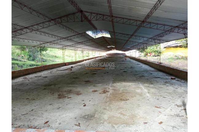 Fincas y Casas Campestres, Venta, Guacarí - $1.200.000.000