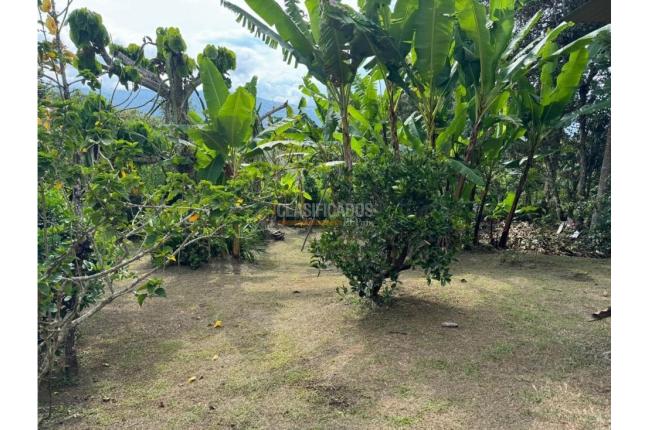 Fincas y Casas Campestres, Venta en Dagua